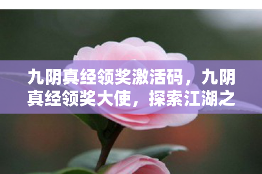 九阴真经领奖激活码，九阴真经领奖大使，探索江湖之旅的引领者