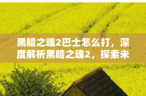 黑暗之魂2巴士怎么打，深度解析黑暗之魂2，探索未知世界的巴士之旅