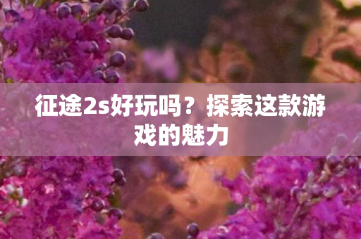 征途2s好玩吗？探索这款游戏的魅力