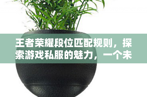 王者荣耀段位匹配规则，探索游戏私服的魅力，一个未被官方触及的平行世界