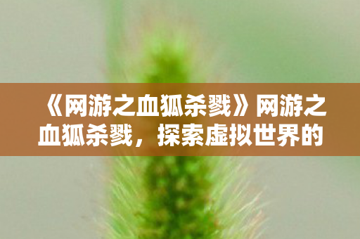 《网游之血狐杀戮》网游之血狐杀戮，探索虚拟世界的无尽冒险
