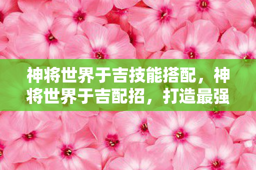 神将世界于吉技能搭配，神将世界于吉配招，打造最强阵容的攻略
