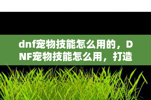 dnf宠物技能怎么用的，DNF宠物技能怎么用，打造高效战斗的关键
