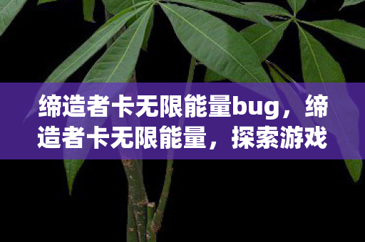 缔造者卡无限能量bug，缔造者卡无限能量，探索游戏世界的无限可能