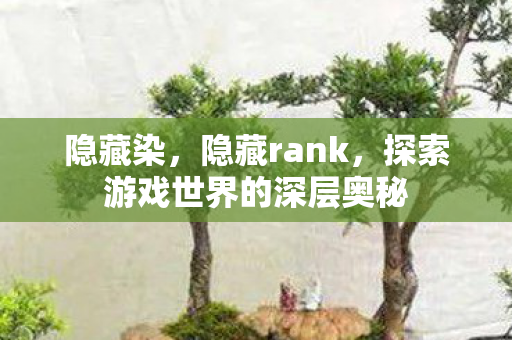 隐藏染，隐藏rank，探索游戏世界的深层奥秘