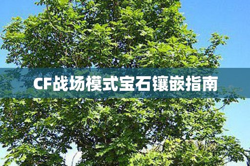 CF战场模式宝石镶嵌指南 CF战场模式宝石镶嵌指南
