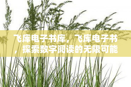 飞库电子书库，飞库电子书，探索数字阅读的无限可能