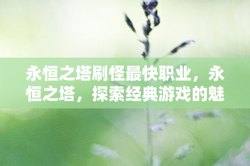 永恒之塔刷怪最快职业，永恒之塔，探索经典游戏的魅力与挑战