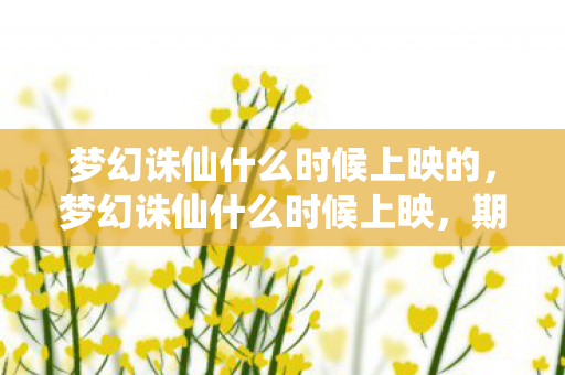 梦幻诛仙什么时候上映的，梦幻诛仙什么时候上映，期待与揭秘