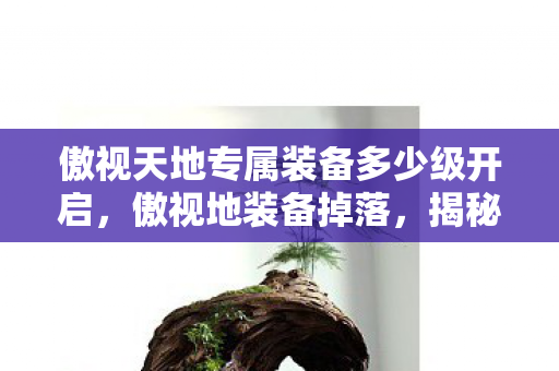 傲视天地专属装备多少级开启，傲视地装备掉落，揭秘未知世界的神秘宝藏