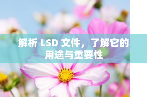 解析 LSD 文件,了解它的用途与重要性 解析 LSD 文件,了解它的用途与重要性