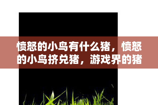 愤怒的小鸟有什么猪，愤怒的小鸟挤兑猪，游戏界的猪与鸟之争