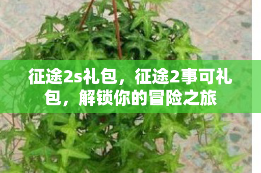 征途2s礼包，征途2事可礼包，解锁你的冒险之旅