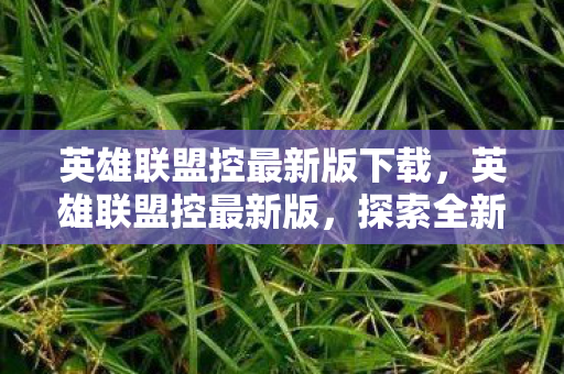 英雄联盟控最新版下载，英雄联盟控最新版，探索全新游戏体验与社区互动