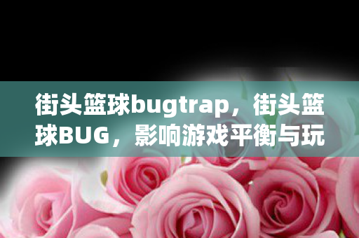 街头篮球bugtrap，街头篮球BUG，影响游戏平衡与玩家体验