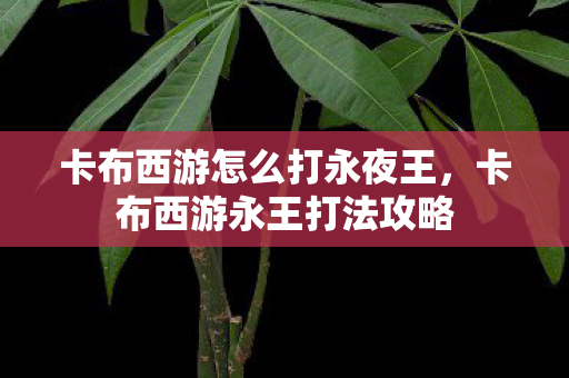 卡布西游怎么打永夜王，卡布西游永王打法攻略