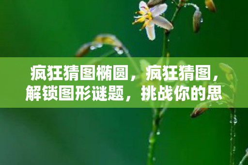 疯狂猜图椭圆，疯狂猜图，解锁图形谜题，挑战你的思维极限