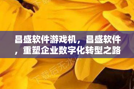 昌盛软件游戏机，昌盛软件，重塑企业数字化转型之路