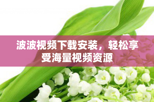 波波视频下载安装，轻松享受海量视频资源