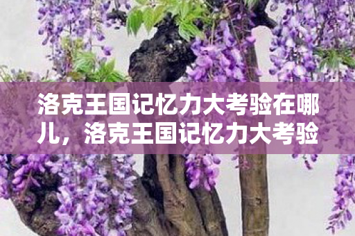洛克王国记忆力大考验在哪儿，洛克王国记忆力大考验位置解析
