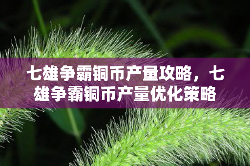 七雄争霸铜币产量攻略，七雄争霸铜币产量优化策略