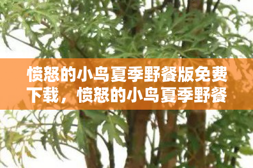 愤怒的小鸟夏季野餐版免费下载，愤怒的小鸟夏季野餐版，夏日里的欢乐时光