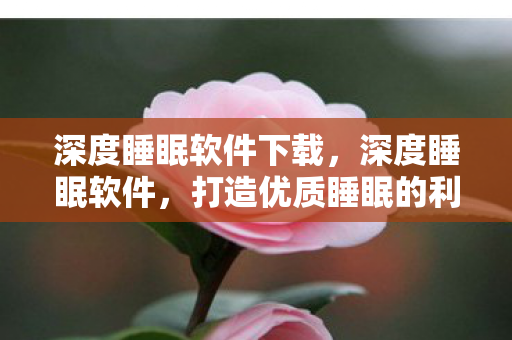 深度睡眠软件下载，深度睡眠软件，打造优质睡眠的利器