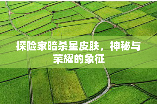探险家暗杀星皮肤,神秘与荣耀的象征 探险家暗杀星皮肤,神秘与荣耀的象征
