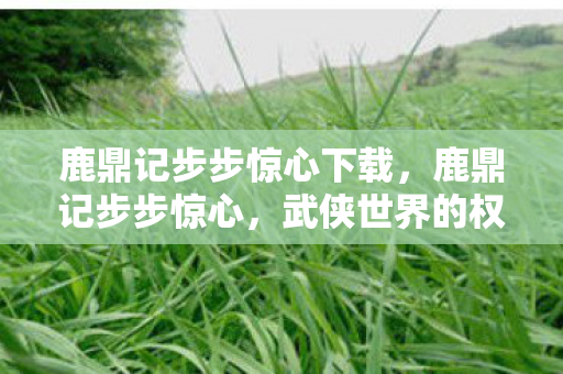 鹿鼎记步步惊心下载，鹿鼎记步步惊心，武侠世界的权谋与情感交织
