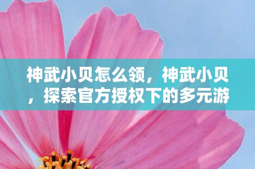 神武小贝怎么领，神武小贝，探索官方授权下的多元游戏体验