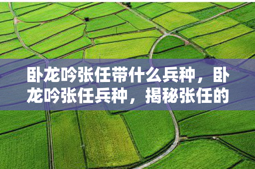 卧龙吟张任带什么兵种，卧龙吟张任兵种，揭秘张任的兵种特色与战术运用