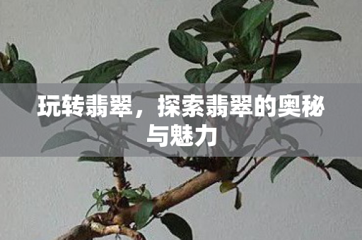 玩转翡翠,探索翡翠的奥秘与魅力 玩转翡翠,探索翡翠的奥秘与魅力