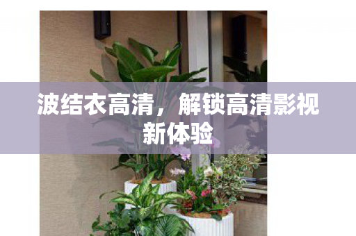 波结衣高清，解锁高清影视新体验