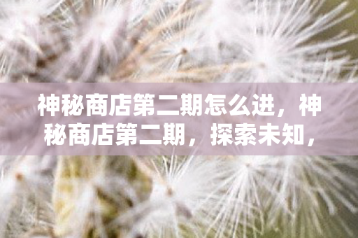 神秘商店第二期怎么进，神秘商店第二期，探索未知，解锁惊喜