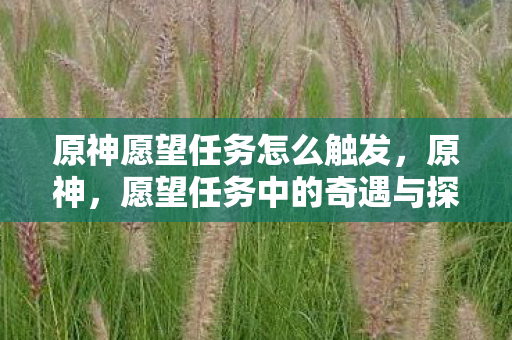 原神愿望任务怎么触发，原神，愿望任务中的奇遇与探索