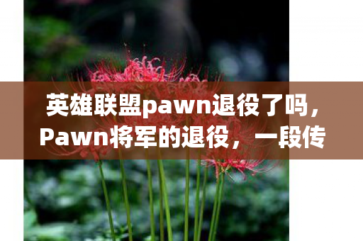 英雄联盟pawn退役了吗，Pawn将军的退役，一段传奇的落幕