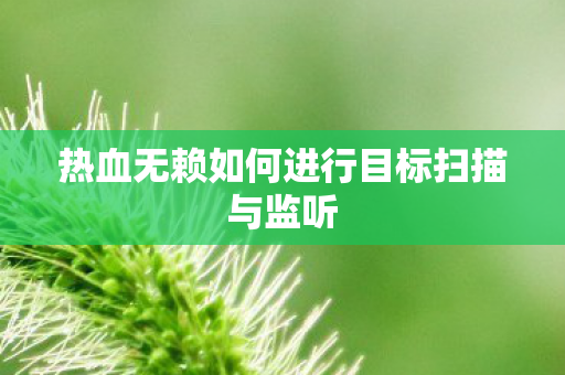 热血无赖如何进行目标扫描与监听