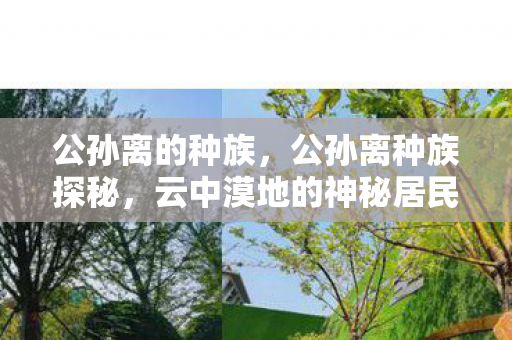 公孙离的种族，公孙离种族探秘，云中漠地的神秘居民