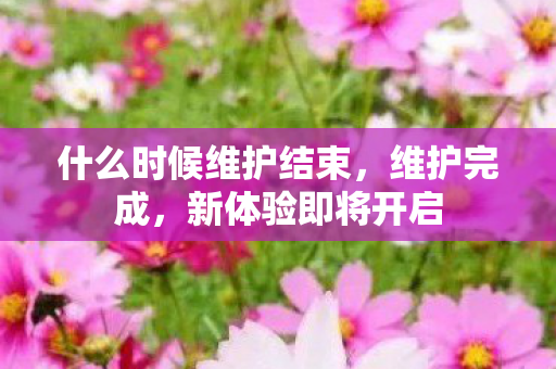 什么时候维护结束，维护完成，新体验即将开启