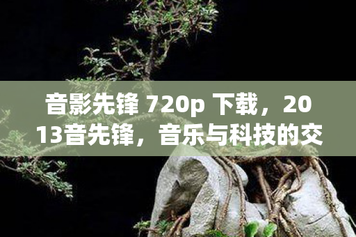 音影先锋 720p 下载，2013音先锋，音乐与科技的交响曲