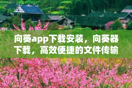 向葵app下载安装，向葵器下载，高效便捷的文件传输利器