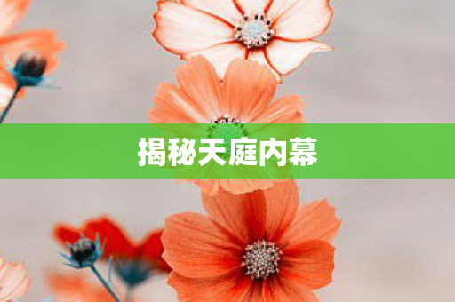 揭秘天庭内幕