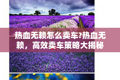 热血无赖怎么卖车?热血无赖，高效卖车策略大揭秘