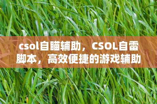 csol自瞄辅助，CSOL自雷脚本，高效便捷的游戏辅助工具