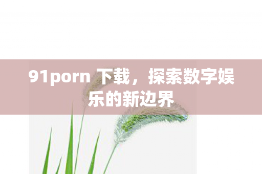 91porn 下载，探索数字娱乐的新边界