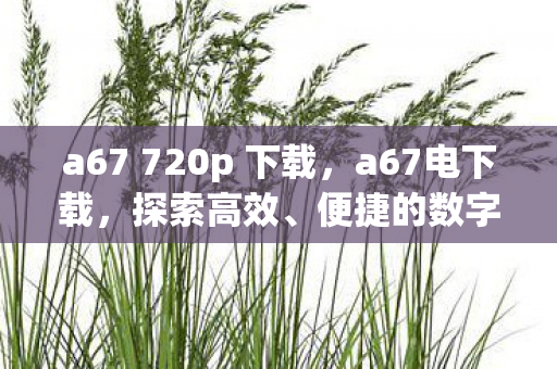 a67 720p 下载，a67电下载，探索高效、便捷的数字资源获取方式