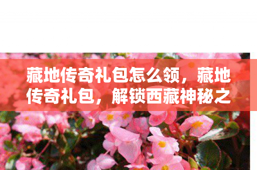 藏地传奇礼包怎么领，藏地传奇礼包，解锁西藏神秘之旅的钥匙