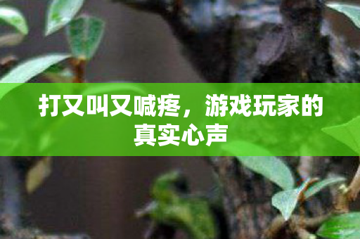 打又叫又喊疼，游戏玩家的真实心声