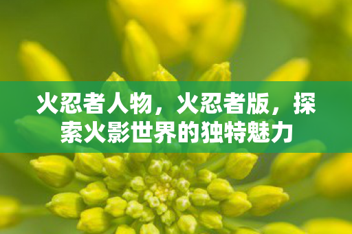火忍者人物，火忍者版，探索火影世界的独特魅力