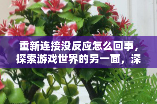 重新连接没反应怎么回事，探索游戏世界的另一面，深度解析游戏服务器的多样性与运营生态
